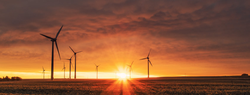 Windräder im Sonnenuntergang: Jetzt zu Ökostrom wechseln!