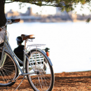 Fahrrad mit Baum und See im Hintergrund