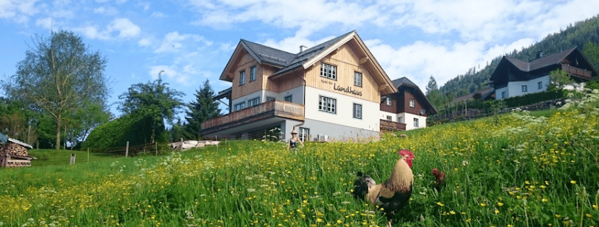 Das Landhaus der Knödl-Alm auf einer grünen Wiese von vorne